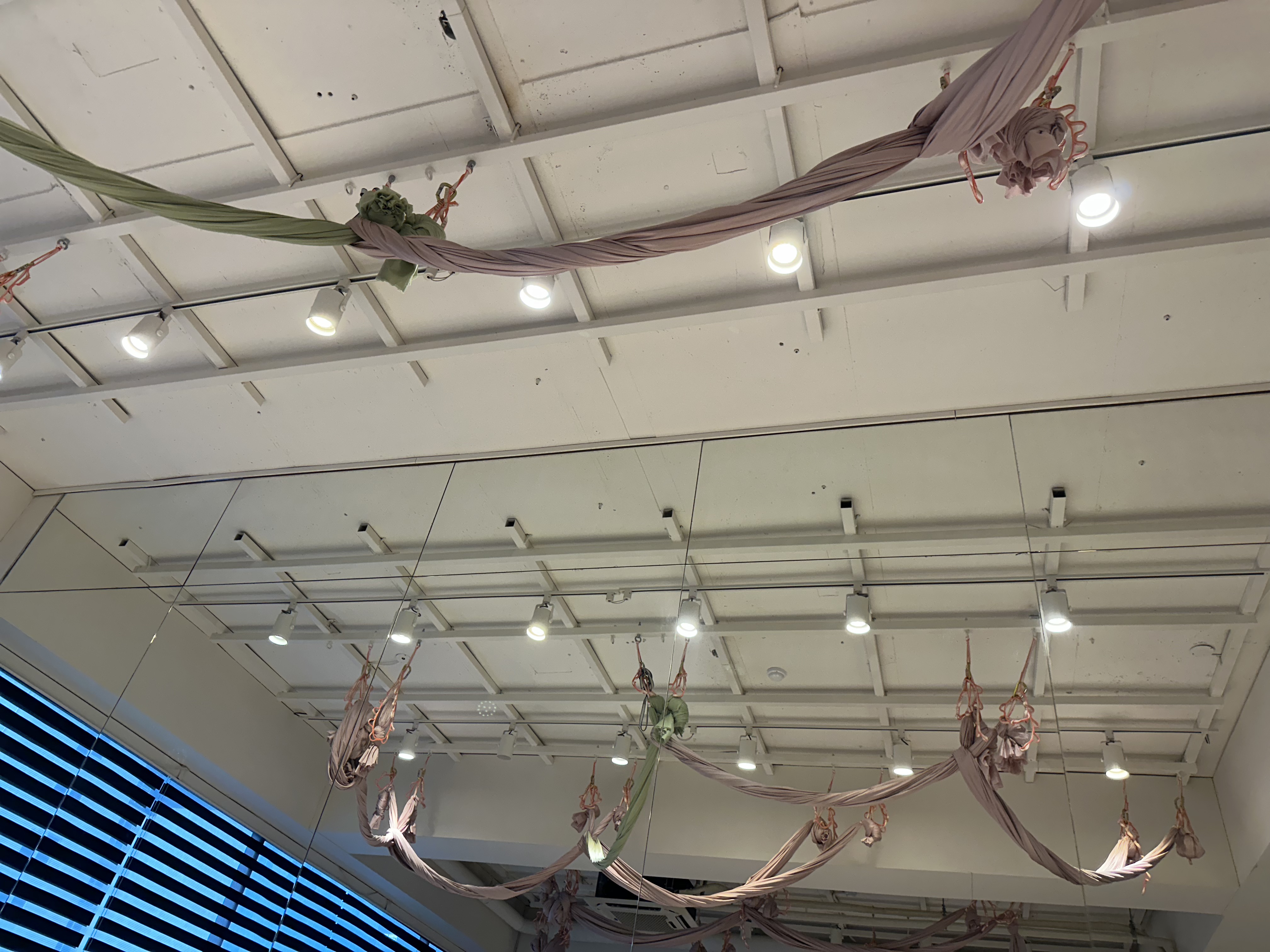 First Pilates Experience: Faster Than Expected, Harder Than Expected